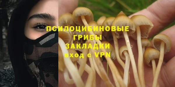 МДПВ Алексин