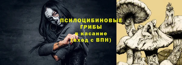 МДПВ Алексин