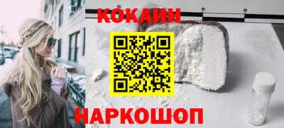 гашик Кингисепп