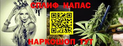 гашик Кингисепп