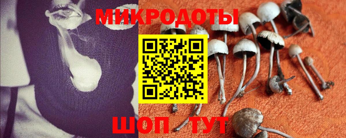 Псилоцибиновые грибы MAGIC MUSHROOMS Кимры