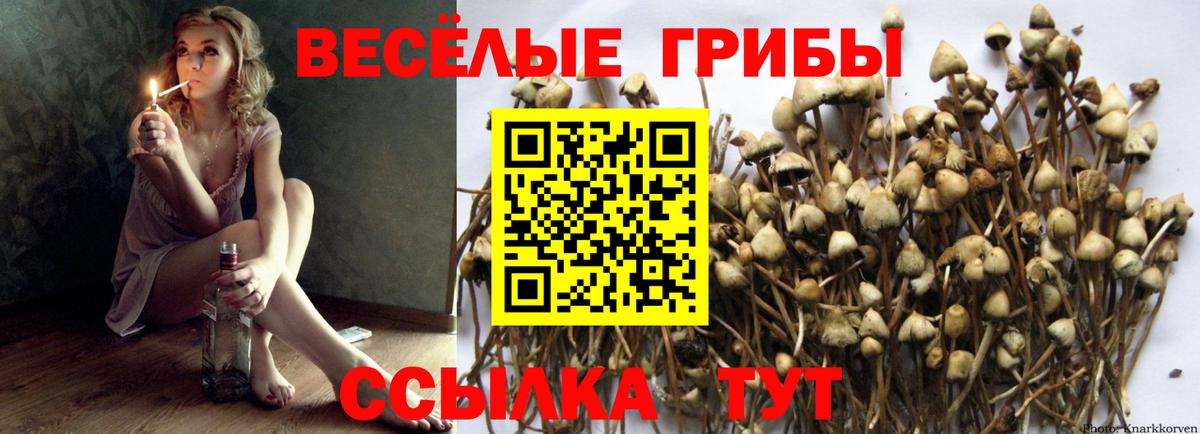 Кимры  Галлюциногенные грибы MAGIC MUSHROOMS  купить наркоту  Вход с VPN 