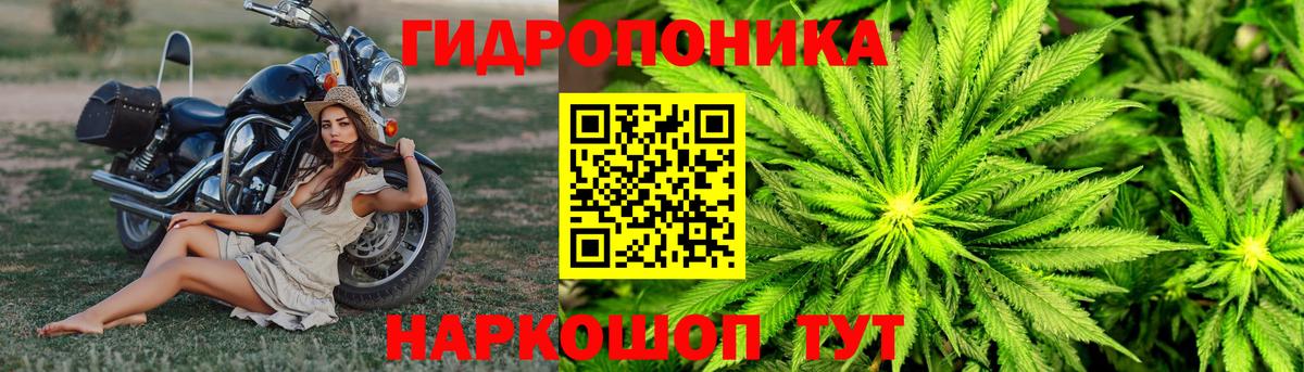 Конопля LSD WEED  Вход с VPN  Кимры  Шишки марихуана сатива  Бошки марихуана SATIVA & INDICA 